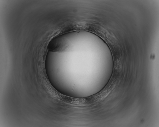 X0000102011201200807251300