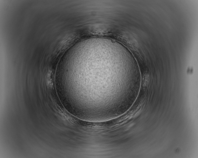 X0000102011202200807251300