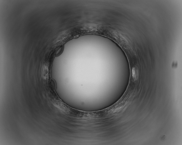 X0000102011203200807251300