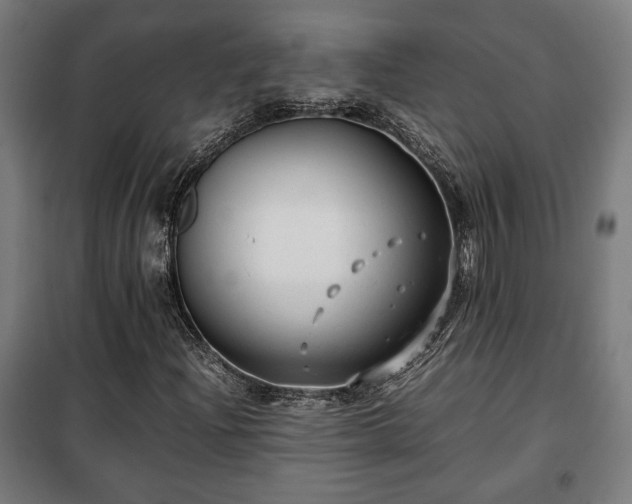 X0000102011204200807251300