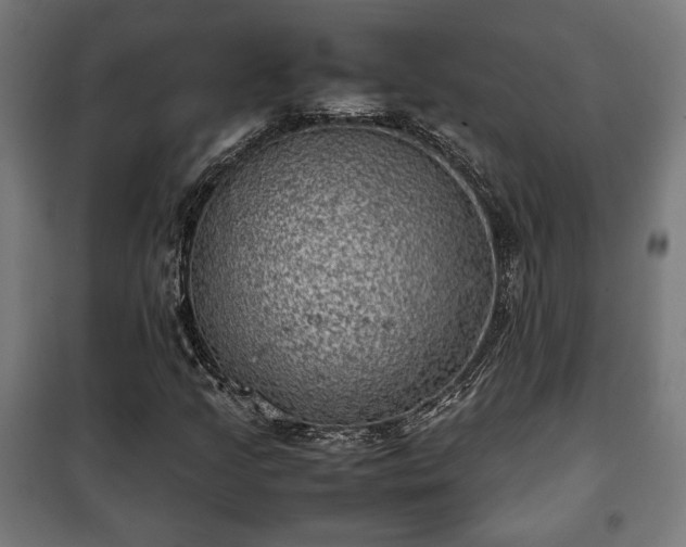 X0000102011205200807251300