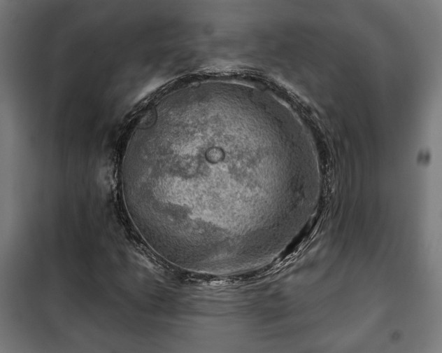 X0000102011206200807251300