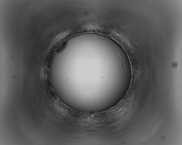 X0000102011207200807251300