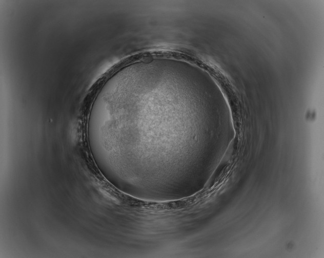 X0000102011208200807251300