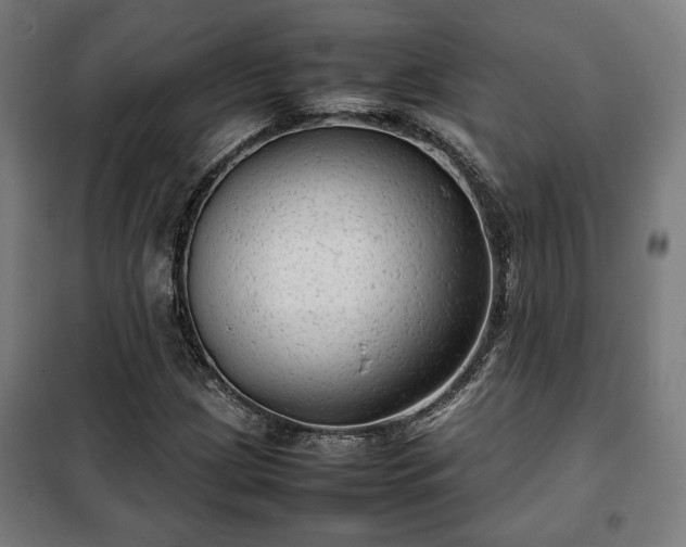 X0000102011209200807251300