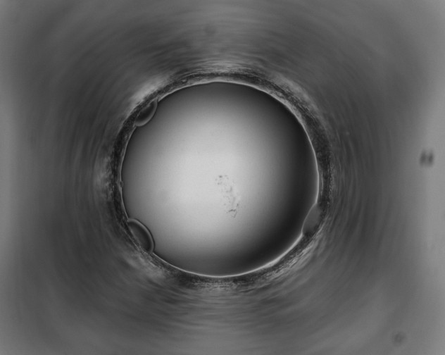 X0000102011210200807251300
