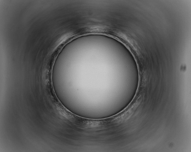 X0000102011211200807251300