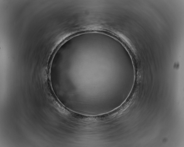 X0000102011212200807251300