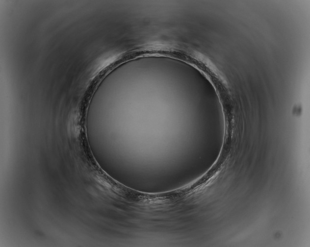 X0000102011213200807251300