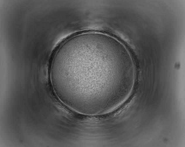 X0000102011214200807251300