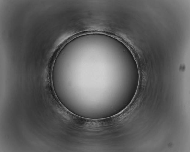 X0000102011215200807251300