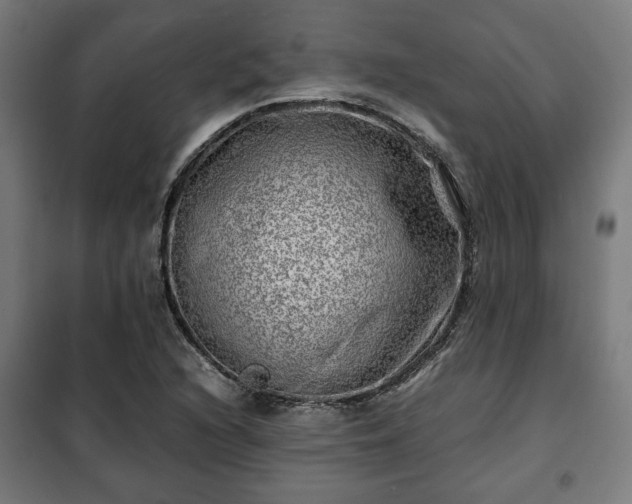 X0000102011216200807251301