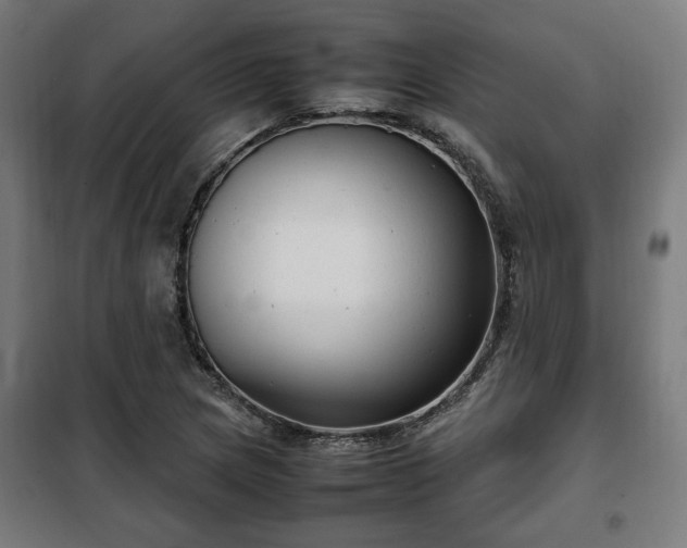 X0000102011217200807251301