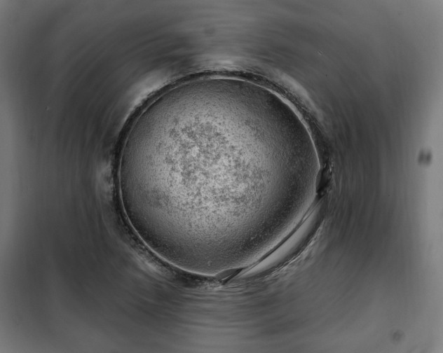 X0000102011218200807251301