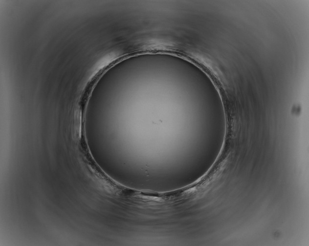X0000102011219200807251301