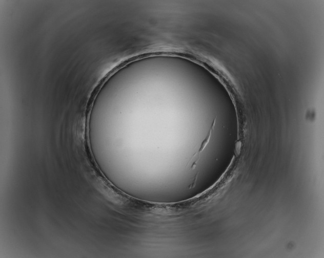 X0000102011220200807251301