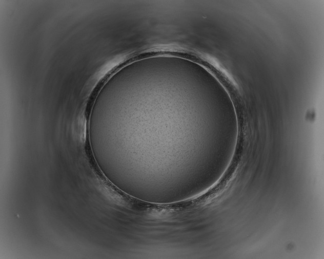 X0000102011221200807251301