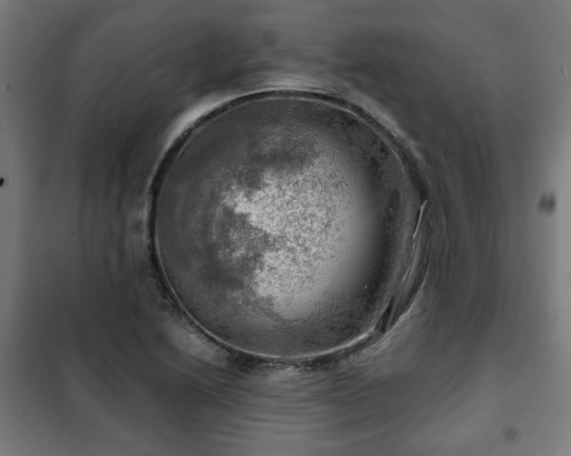 X0000102011222200807251301