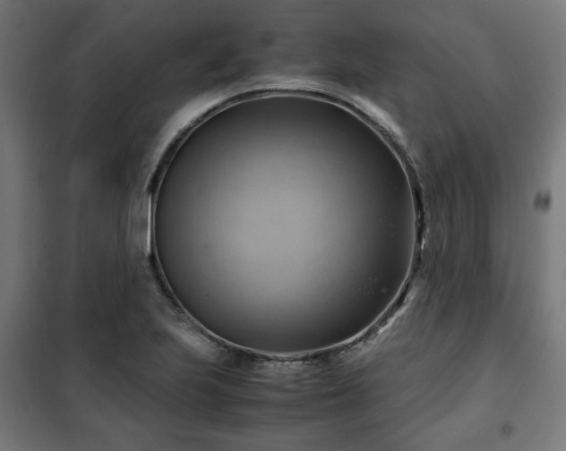 X0000102011223200807251301