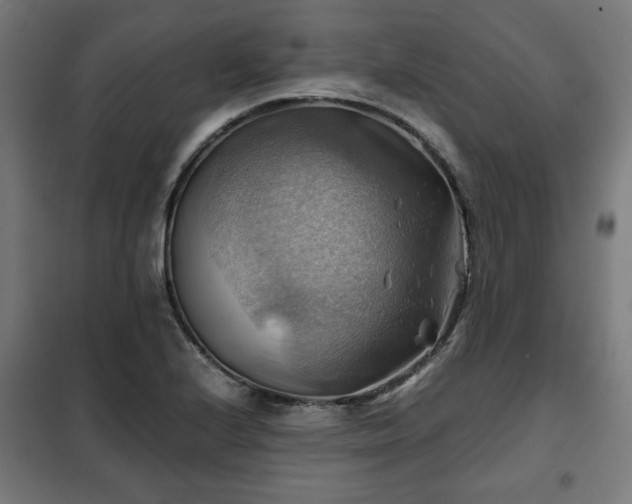 X0000102011224200807251301