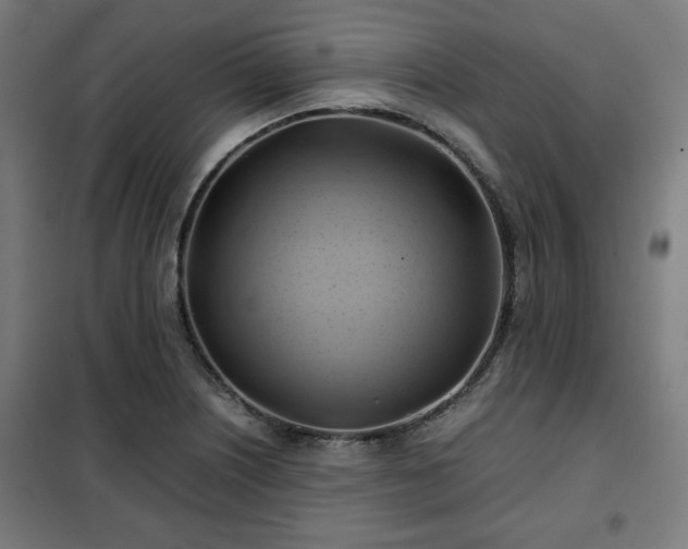X0000102011226200807251301