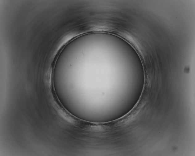 X0000102011227200807251301