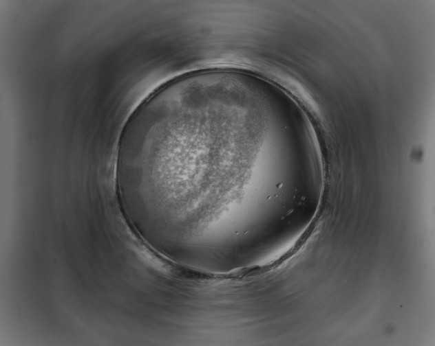 X0000102011228200807251301