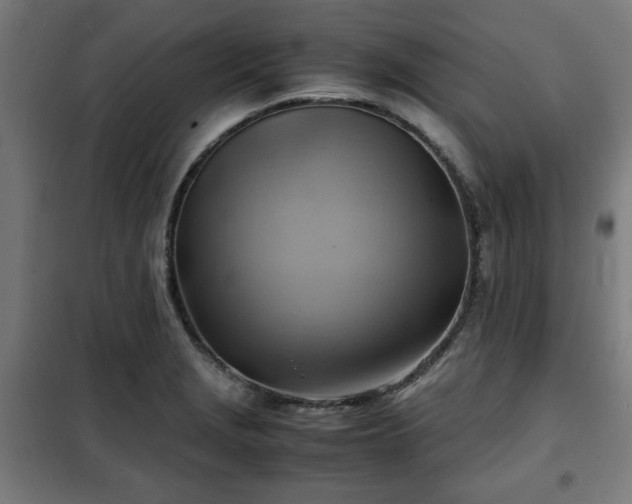 X0000102011229200807251301