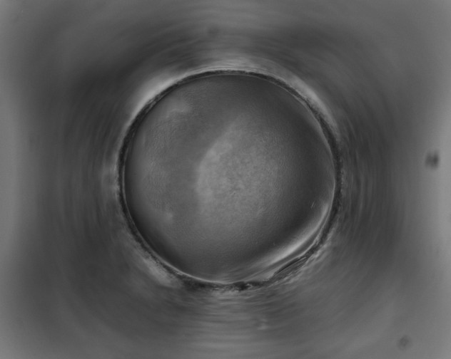 X0000102011230200807251301