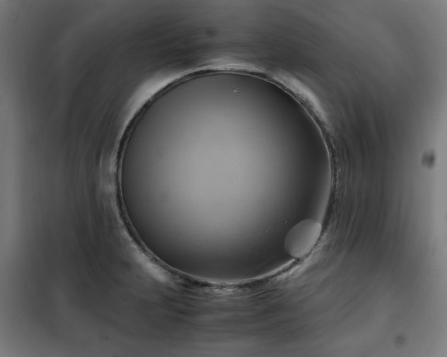 X0000102011231200807251301