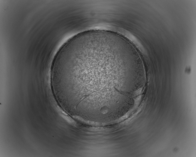 X0000102011232200807251301