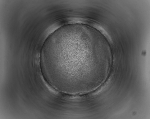 X0000102011233200807251301