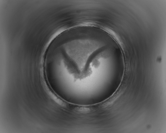 X0000102011235200807251301
