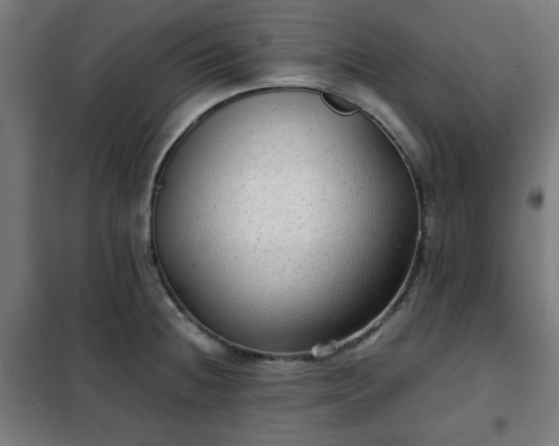 X0000102011236200807251301