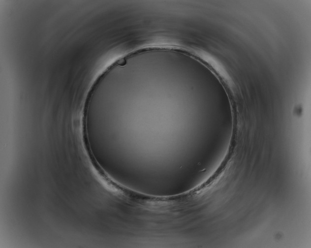 X0000102011237200807251301