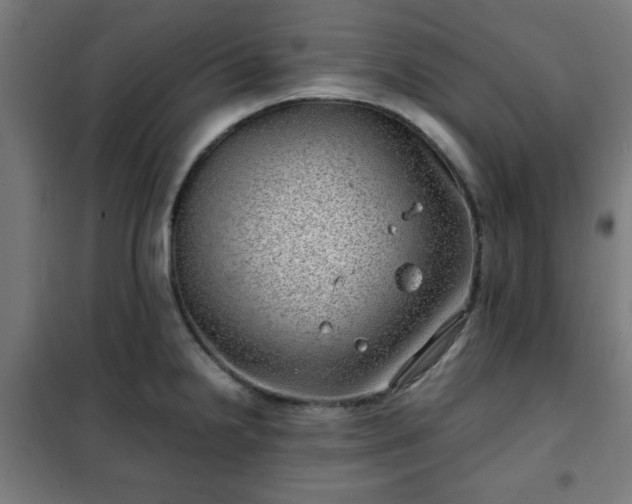 X0000102011238200807251301