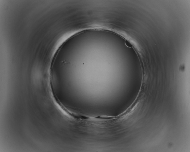 X0000102011239200807251301