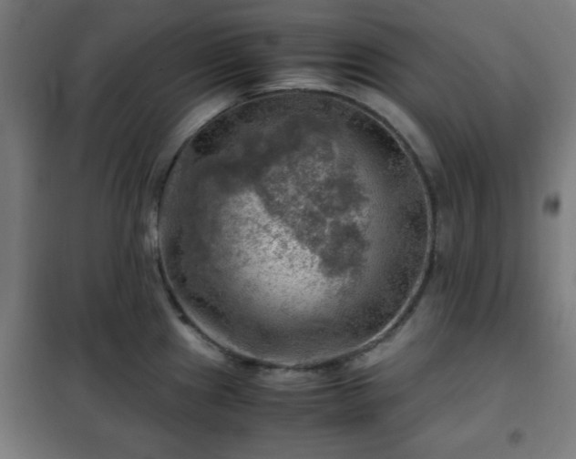 X0000102011241200807251301