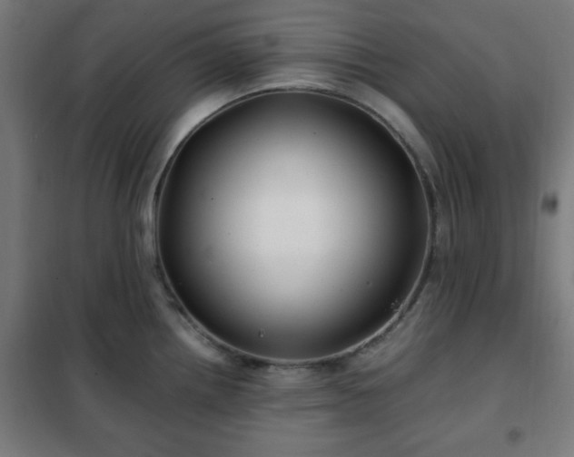 X0000102011242200807251301