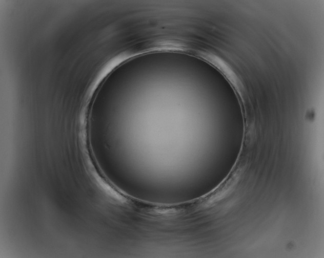 X0000102011243200807251301