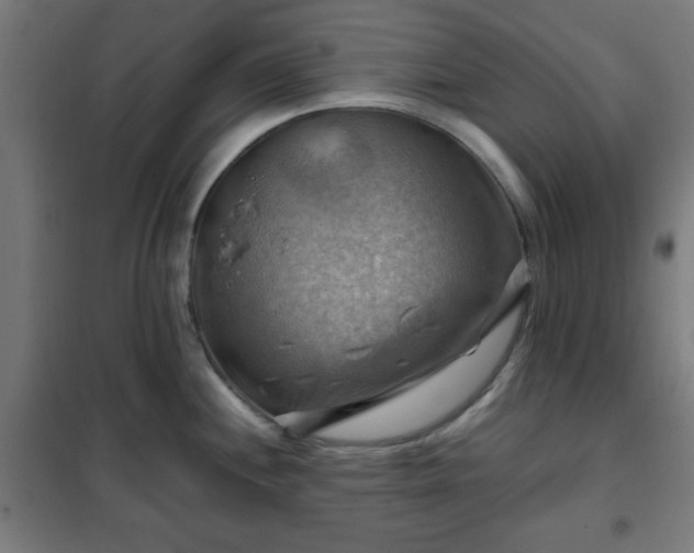 X0000102011244200807251301