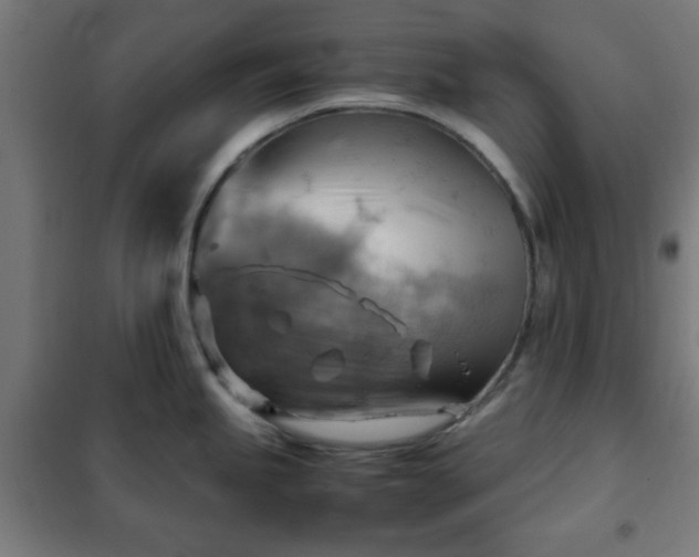 X0000102011245200807251301