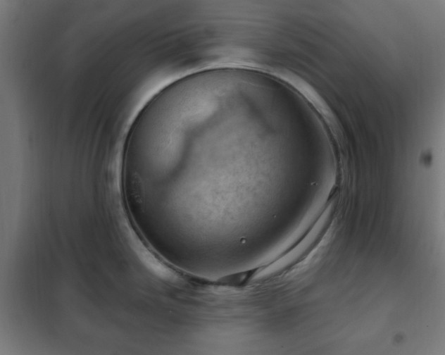 X0000102011246200807251301