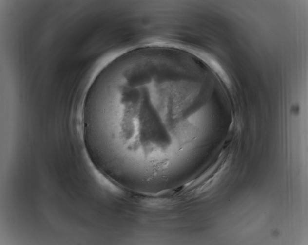 X0000102011247200807251301