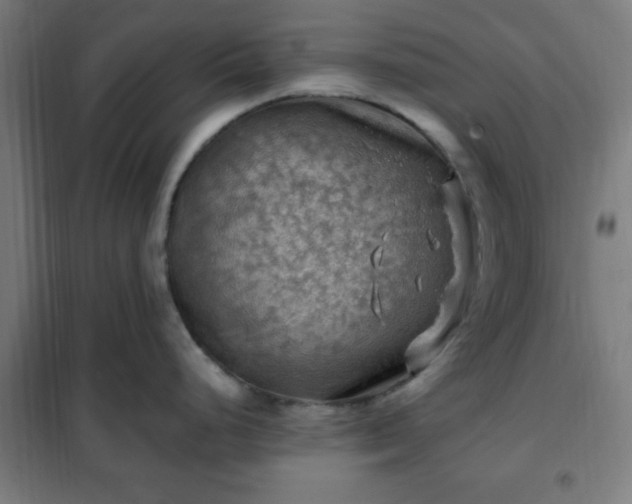 X0000102011248200807251301