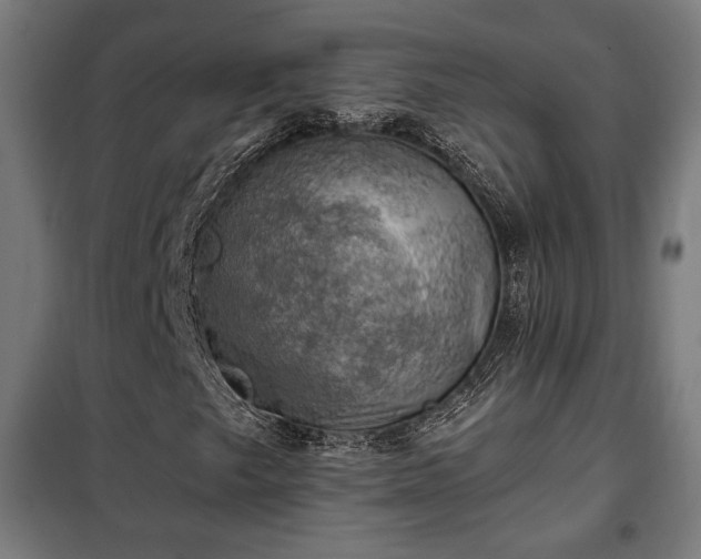 X0000102011249200807251300