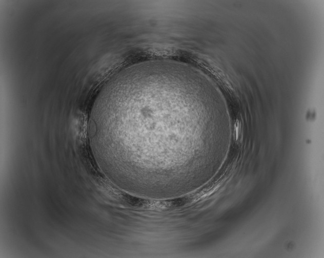 X0000102011251200807251300