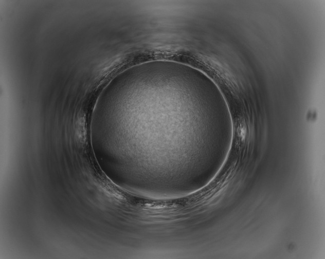 X0000102011252200807251300