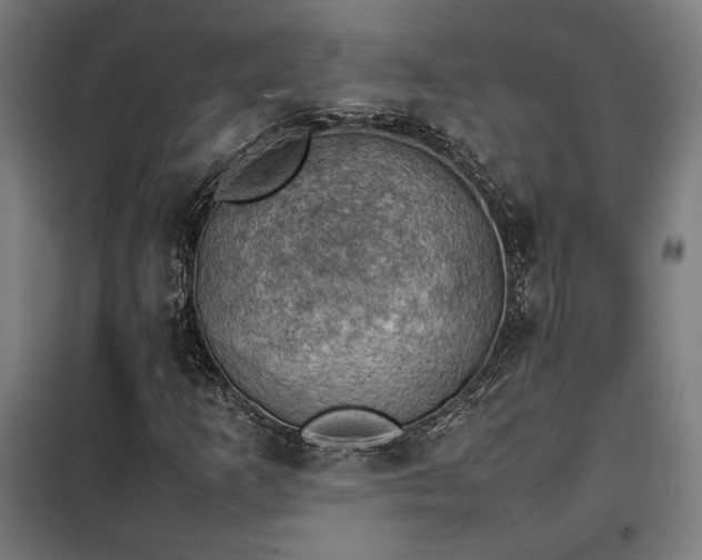 X0000102011253200807251300