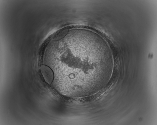 X0000102011255200807251300